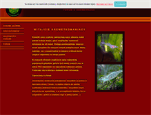 Tablet Screenshot of krewetki.org